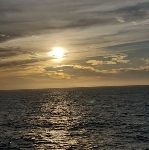 Meet your Posher, Deeann